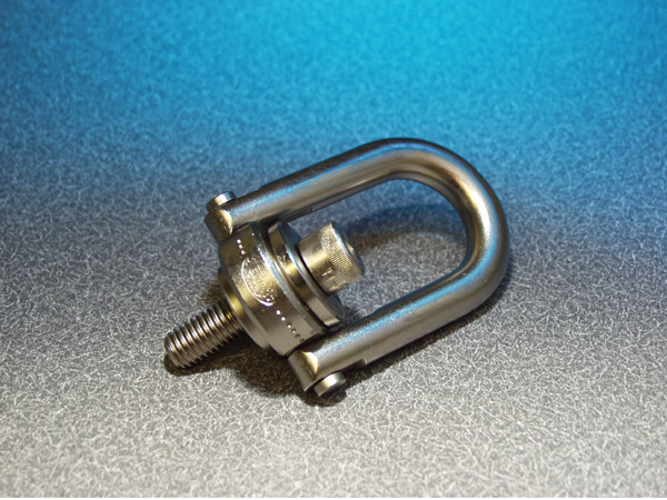 project-detail image